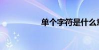 單個字符是什么意思?