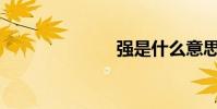 強是什么意思?