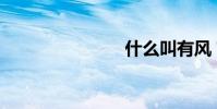 什么叫有風?