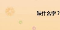 缺什么字?