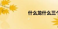 什么龍什么三個字