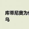 庫蒂尼奧為什么叫庫鳥 為什么喊庫蒂尼奧庫鳥 