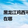 黑龍江雞西可提供三菱重工空調維修服務地址在哪