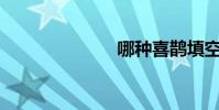 哪種喜鵲填空?