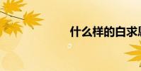 什么樣的白求恩?