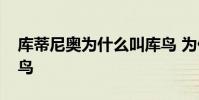庫蒂尼奧為什么叫庫鳥 為什么喊庫蒂尼奧庫鳥