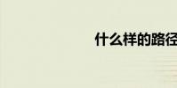 什么樣的路徑?