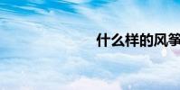 什么樣的風箏?