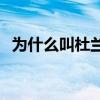 為什么叫杜蘭特書包 為什么叫杜蘭特書包 