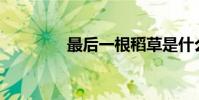 最后一根稻草是什么意思?