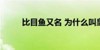 比目魚又名 為什么叫皇馬比目魚