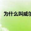 為什么叫威爾金斯 為什么叫威爾金斯大民 