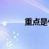 重點是什么？暖暖的花是什么？