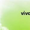 vivo X Fold被曝（vivo）