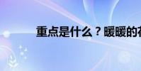 重點是什么?暖暖的花是什么?