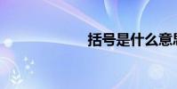 括號是什么意思?