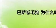 巴薩卷毛狗 為什么叫巴薩狗