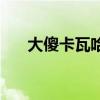 大傻卡瓦哈爾 為什么叫卡瓦哈爾大傻 