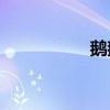 鵝鵝鵝作者是誰寫的？