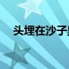頭埋在沙子里的鴕鳥和人比起來算什么？