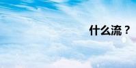 什么流?