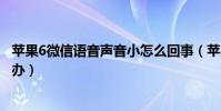蘋果6微信語音聲音小怎么回事(蘋果6打電話時聲音小怎么辦)