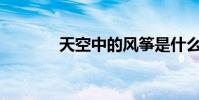 天空中的風箏是什么樣子的?