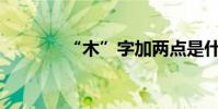 “木”字加兩點是什么意思?