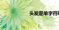 頭發是單字符嗎?