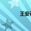 王安石對法律文言文的翻譯