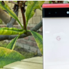 好奇的谷歌Pixel7泄漏指向一部小型手機和提前發布日期