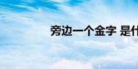 旁邊一個金字 是什么字?