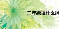 二年級填什么風箏?