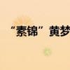 “素錦”黃夢瑩個人資料 黃夢瑩有老公了嗎