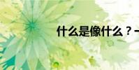 什么是像什么?一年級