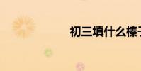 初三填什么榛子?