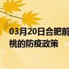 03月20日合肥前往仙桃出行防疫政策查詢-從合肥出發到仙桃的防疫政策