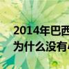 2014年巴西為什么沒有卡卡小羅 2014巴西為什么沒有小羅 卡卡 