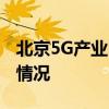 北京5G產業白皮書 白皮書的內容是具體什么情況