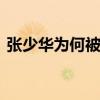 張少華為何被稱為“先生” 背后有什么含義
