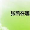 張凱在哪里執教 張凱為什么沒打球 