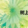 樹上的鳥在唱什么？填空