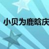 小貝為鹿晗慶生 貝克漢姆說了什么什么情況