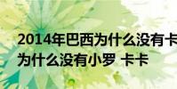 2014年巴西為什么沒有卡卡小羅 2014巴西為什么沒有小羅 卡卡