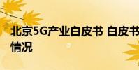 北京5G產業白皮書 白皮書的內容是具體什么情況