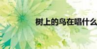 樹上的鳥在唱什么?填空