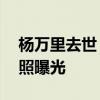 楊萬里去世：最強大腦楊萬里去世 昔日節目照曝光