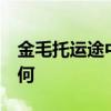 金毛托運途中死亡 市監部門介入 目前情況如何