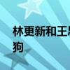 林更新和王思聰什么關系 林更新為什么叫林狗