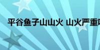 平谷魚子山山火 山火嚴重嗎現在撲滅沒有
